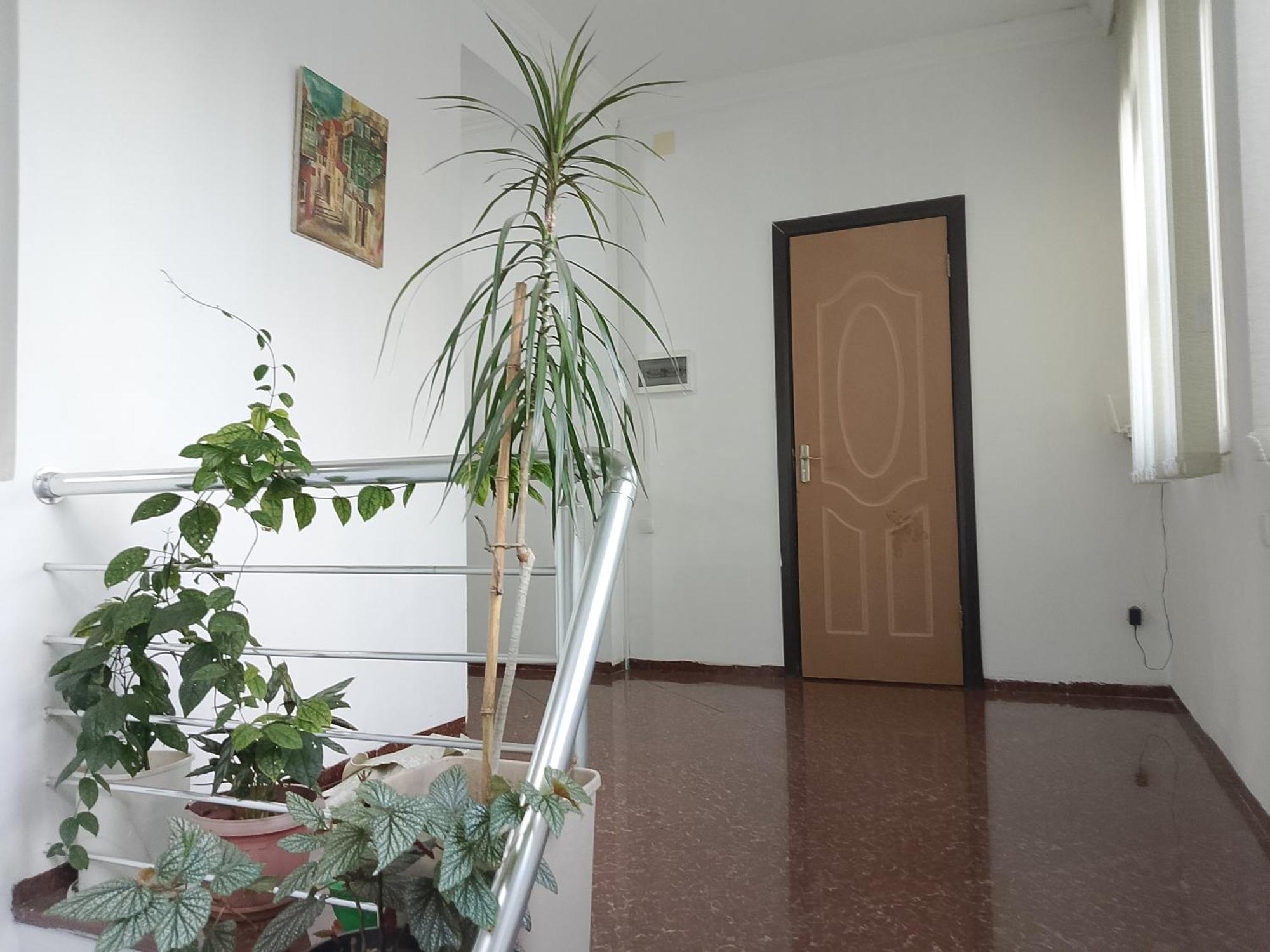 Albergue Jesis Batumi Exterior foto